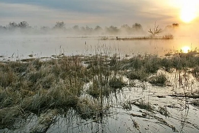 Во Дворце культуры МНПЗ в Мозыре выставка фотографий Владимира Воробья
